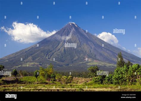 mt mayon picture|Mayon Volcano Pictures, Images and Stock Photos.